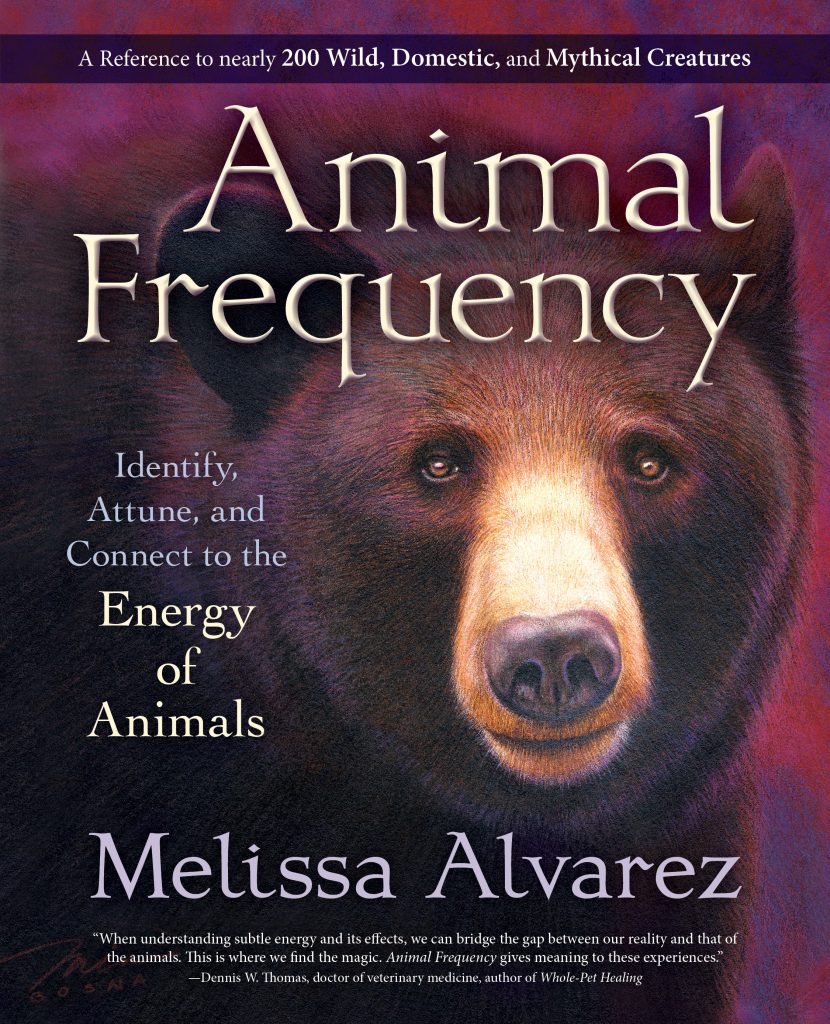 animal-frequency-1